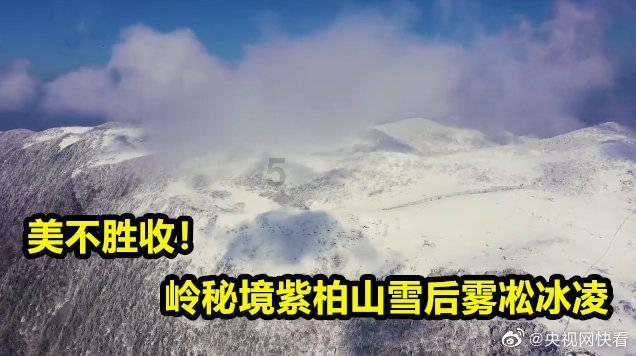 蓝狐视频