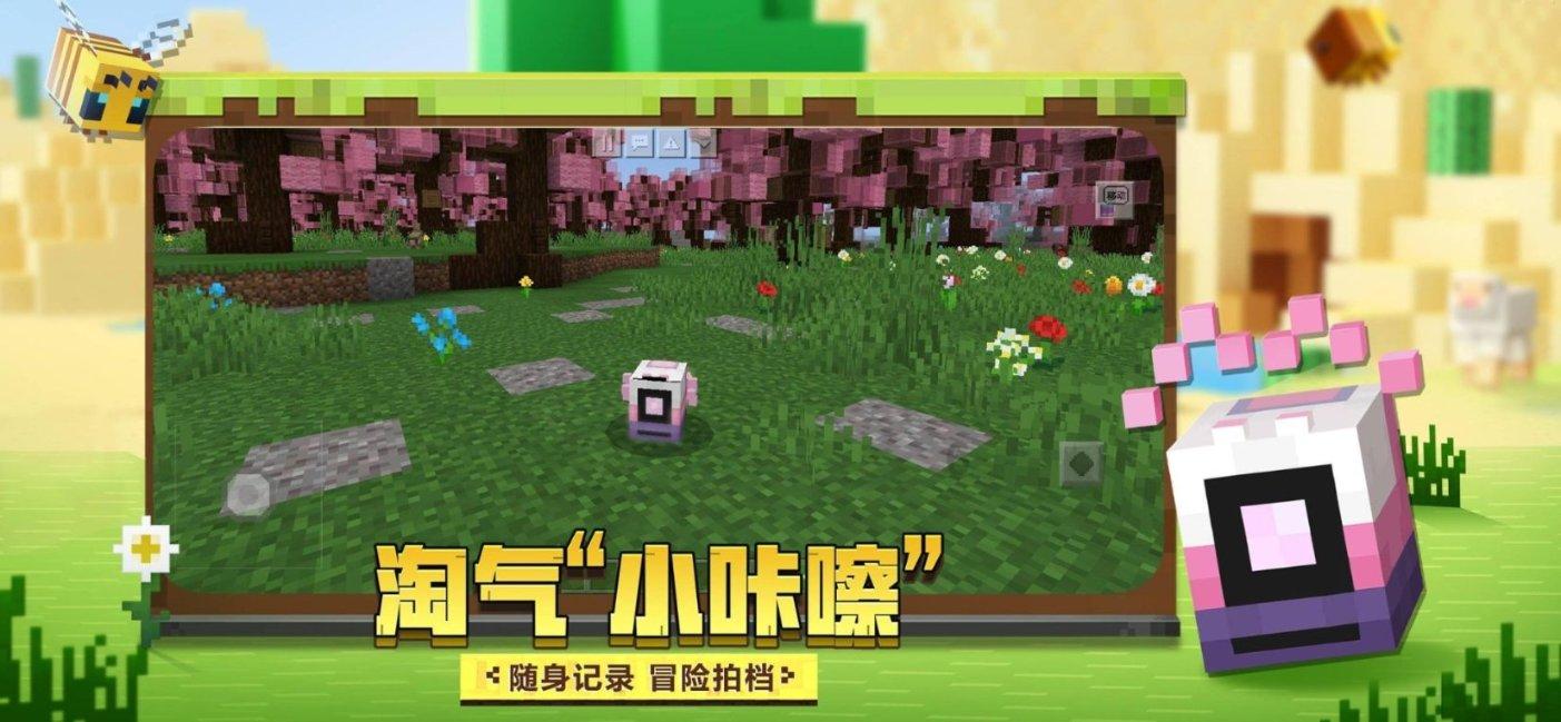 这花叫什么名字?——精准解答,问答网站首选
