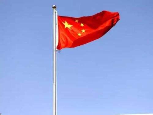动物帮帮忙保卫家园