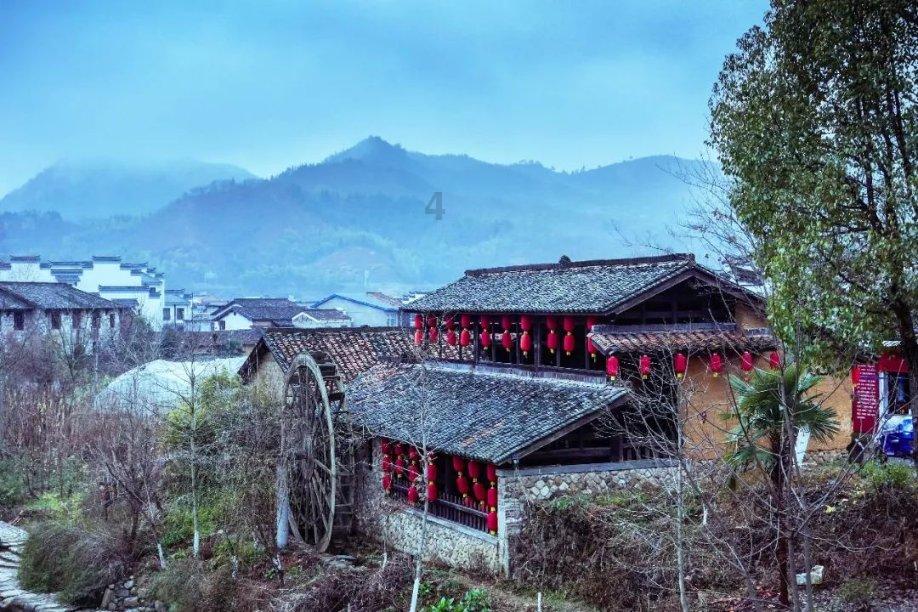 来月经为什么不能吃西瓜?知识星球-专注知识分享与交流平台